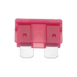 10 Amp, Automotive Fuse