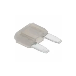 2 Amp, Automotive Fuse