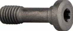 Cap Screw for Indexables: T15P Torx® Plus