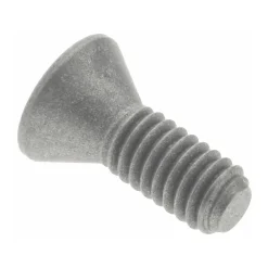 Cap Screw for Indexables: T8 TORX®