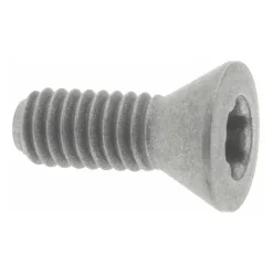 Cap Screw for Indexables: T8 TORX®