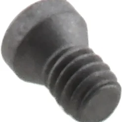 Cap Screw for Indexables: T6 Torx®, M2 x 3.8 Thread