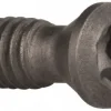 Cap Screw for Indexables: T15 Torx®, M4 x 0.7 Thread