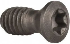 Cap Screw for Indexables: T15 Torx®, M4 x 0.7 Thread