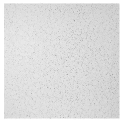 Ceiling Tile: Acoustic Vinyl