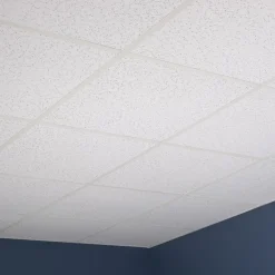 Ceiling Tile: Acoustic Vinyl