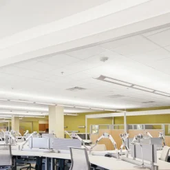 Ceiling Tiles: Color: White; Material: Wet-Formed Mineral Fiber; Length (Inch): 24; Width: 24