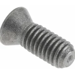 Clamp Screw for Indexables: T9IP Torx®