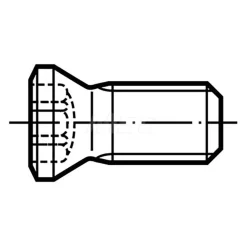 Clamp Screw for Indexables: T8IP Torx®
