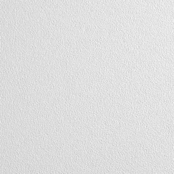 CLEAN ROOM VL 24 in x 24 in Ceiling Tile, White