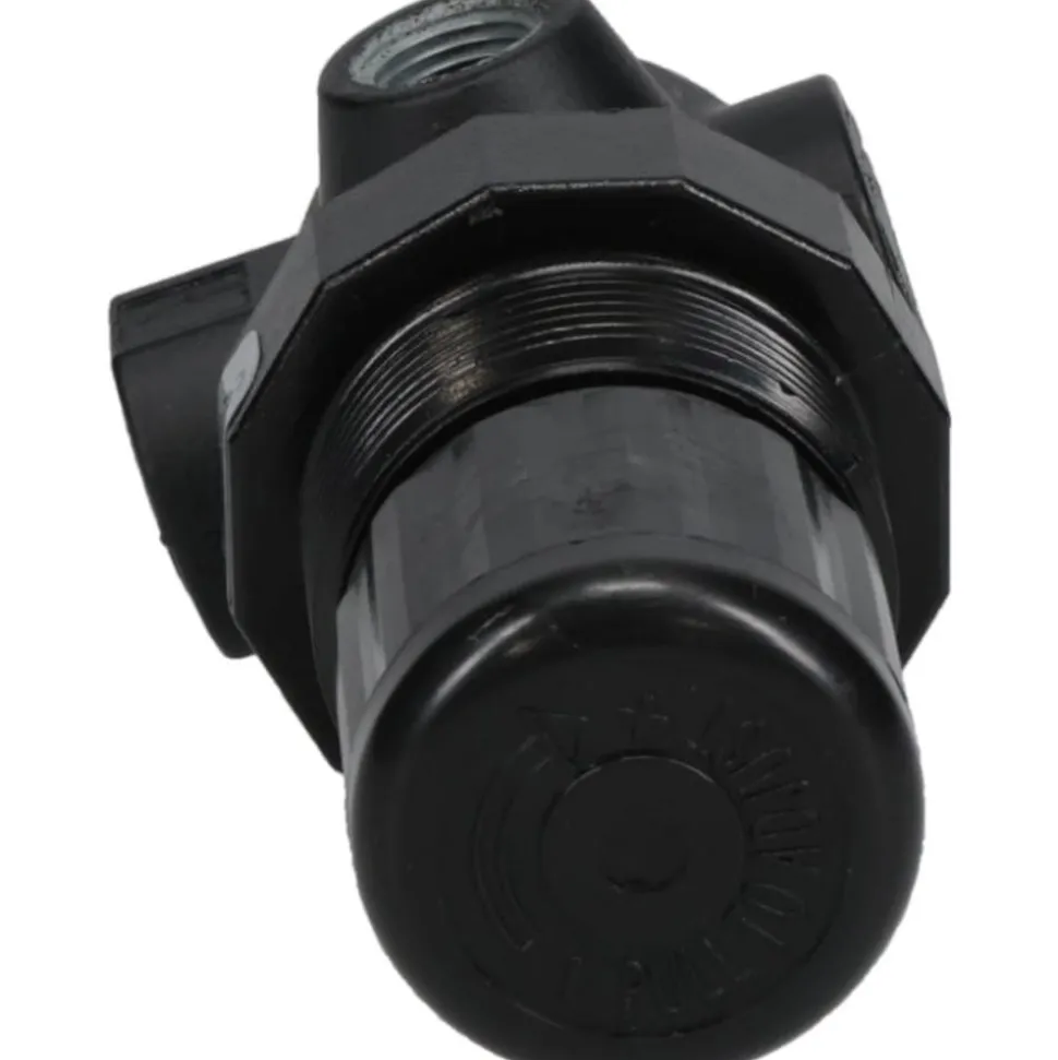 Compressed Air Regulator: 1/4" NPT, 100 Max psi