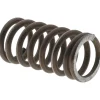 Compression Spring: 0.4800" OD, 1" Free Length