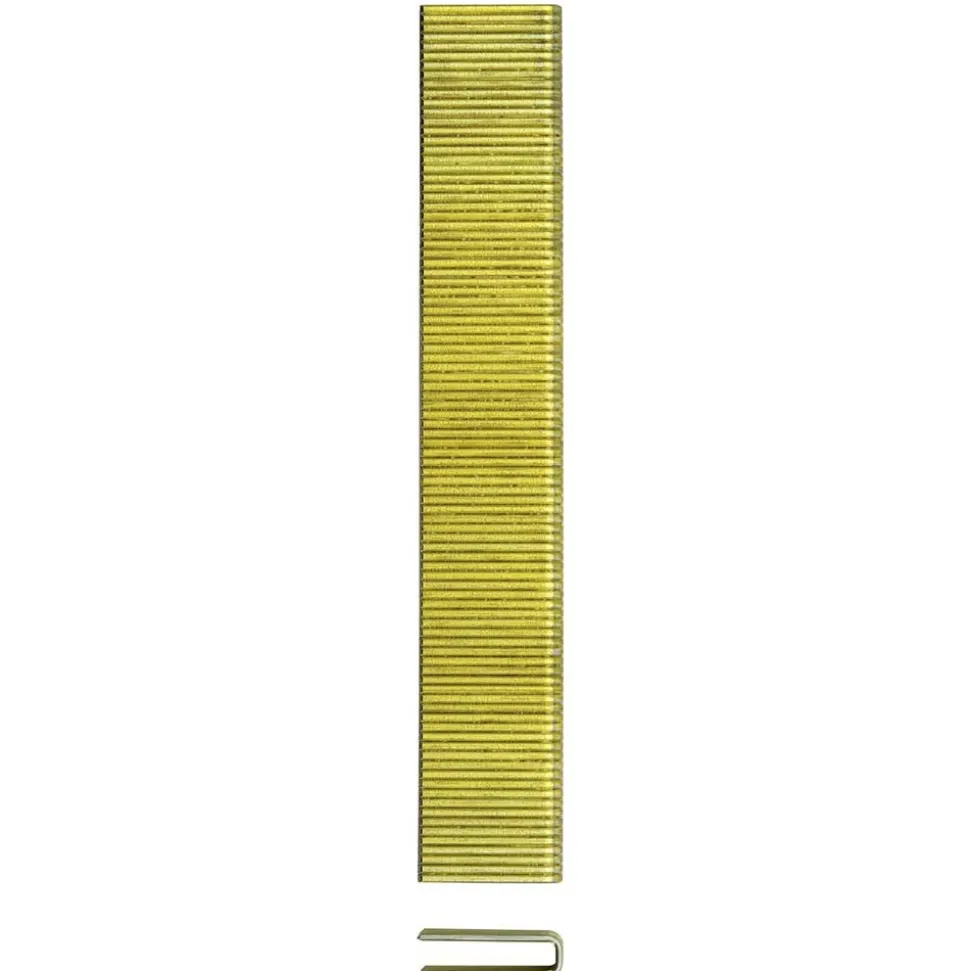 Construction Staple: 3/4" Leg Length