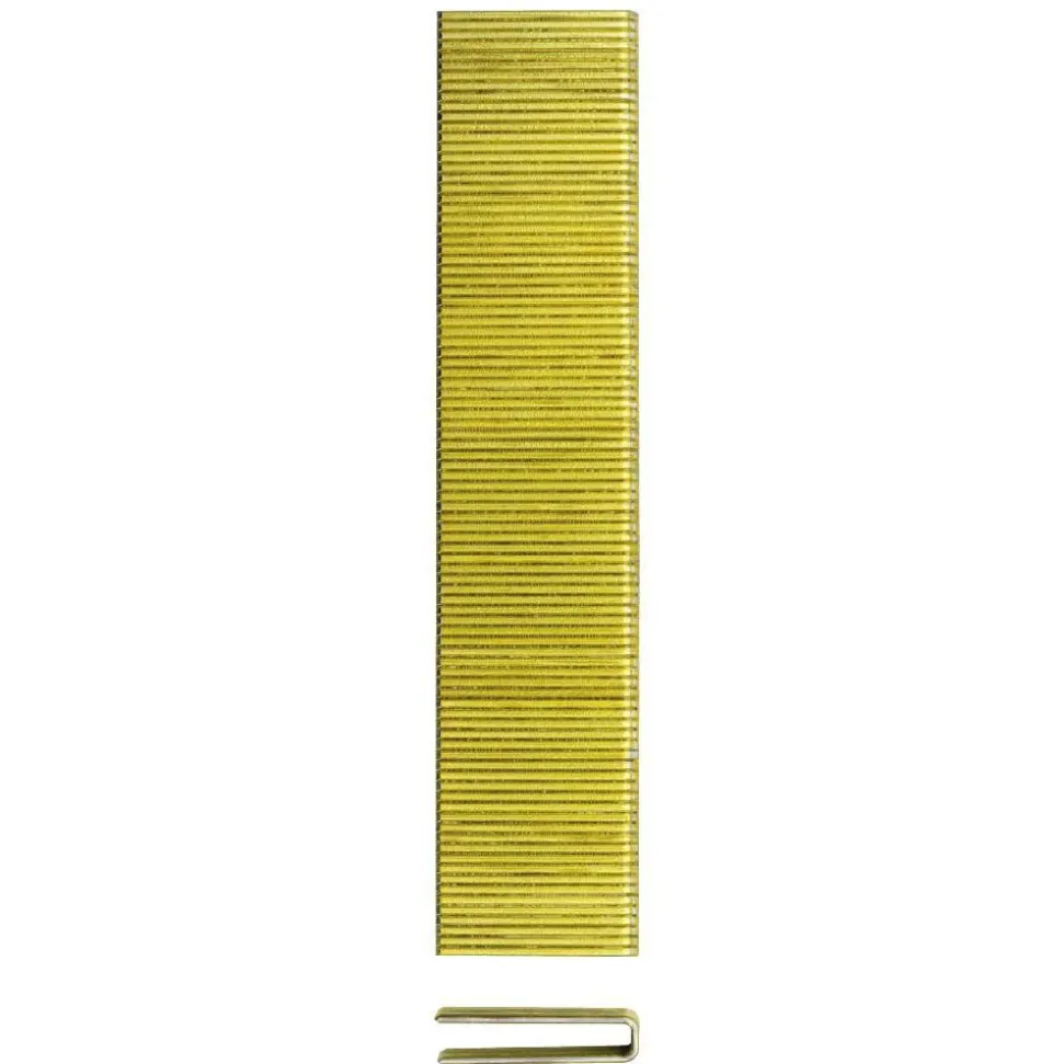 Construction Staple: 1" Leg Length