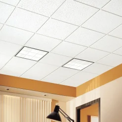 CORTEGA (Fire Guard) 24 in x 24 in Ceiling Tile, White