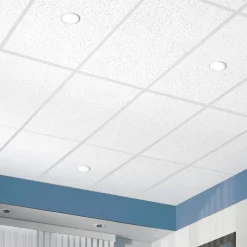 CORTEGA 24 in x 48 in Ceiling Tile, White