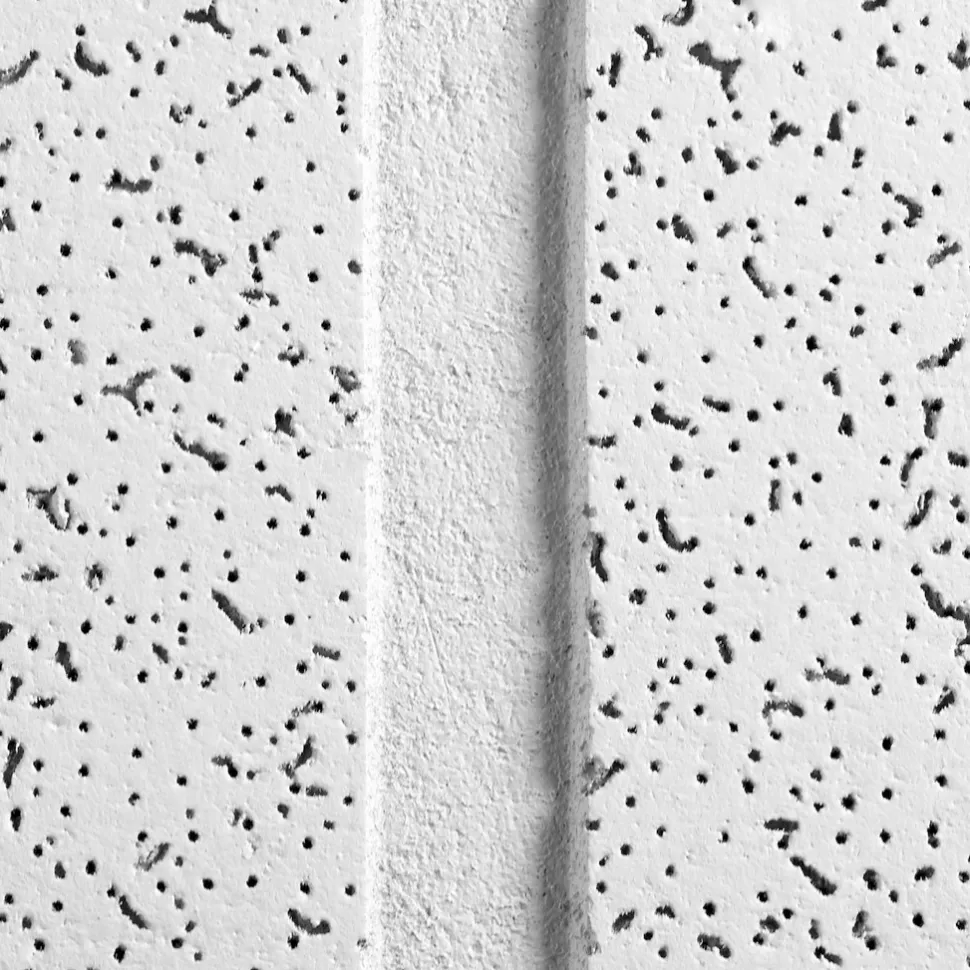 CORTEGA Second Look 24 in x 48 in x 3/4 in Ceiling Tile, White