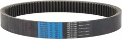 Drive Belt