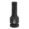 1/2" Drive, 1/2" Hex Size Hex Bit Socket