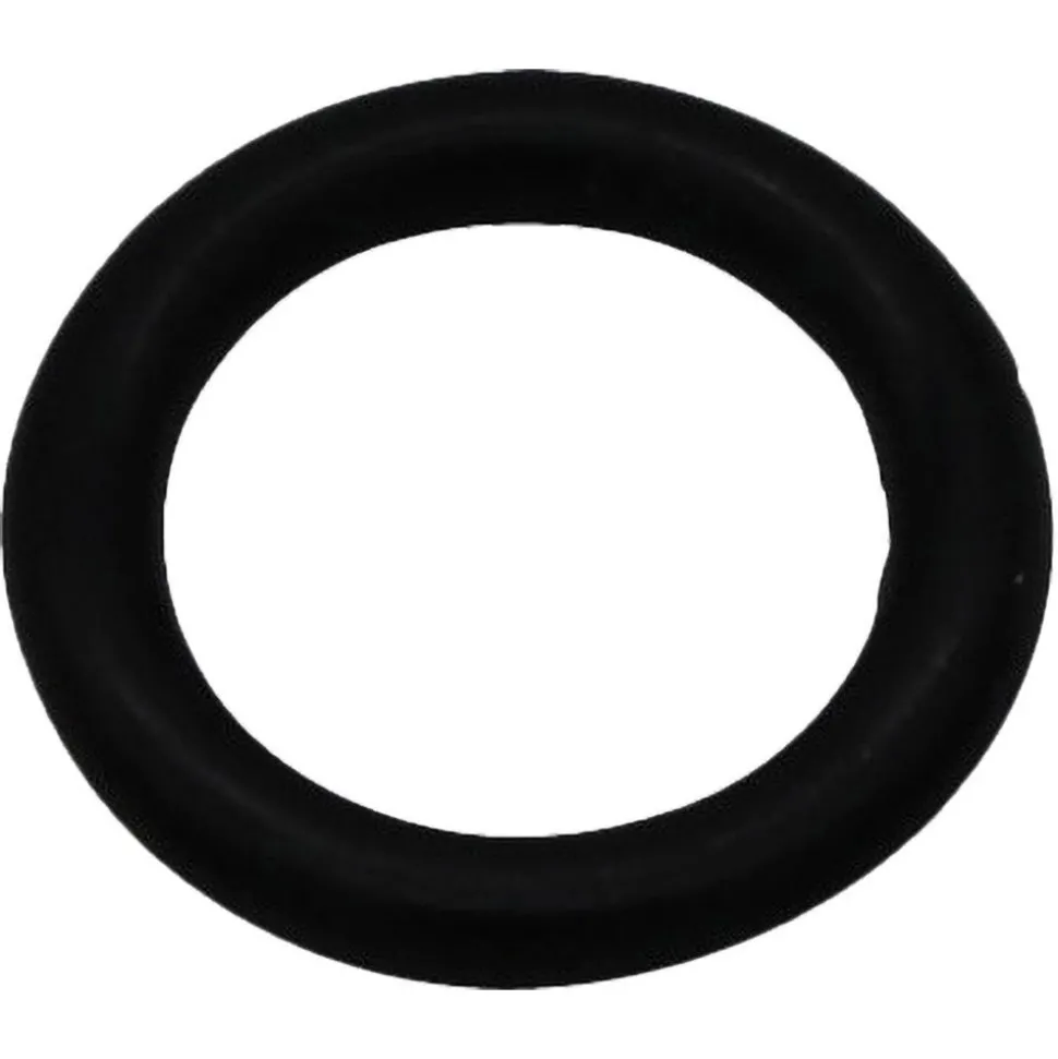 Etcher & Engraver Parts: Product Type: Air Engraver O-Ring; For Use With: Ingersoll Rand EP51 Air Engraving pen
