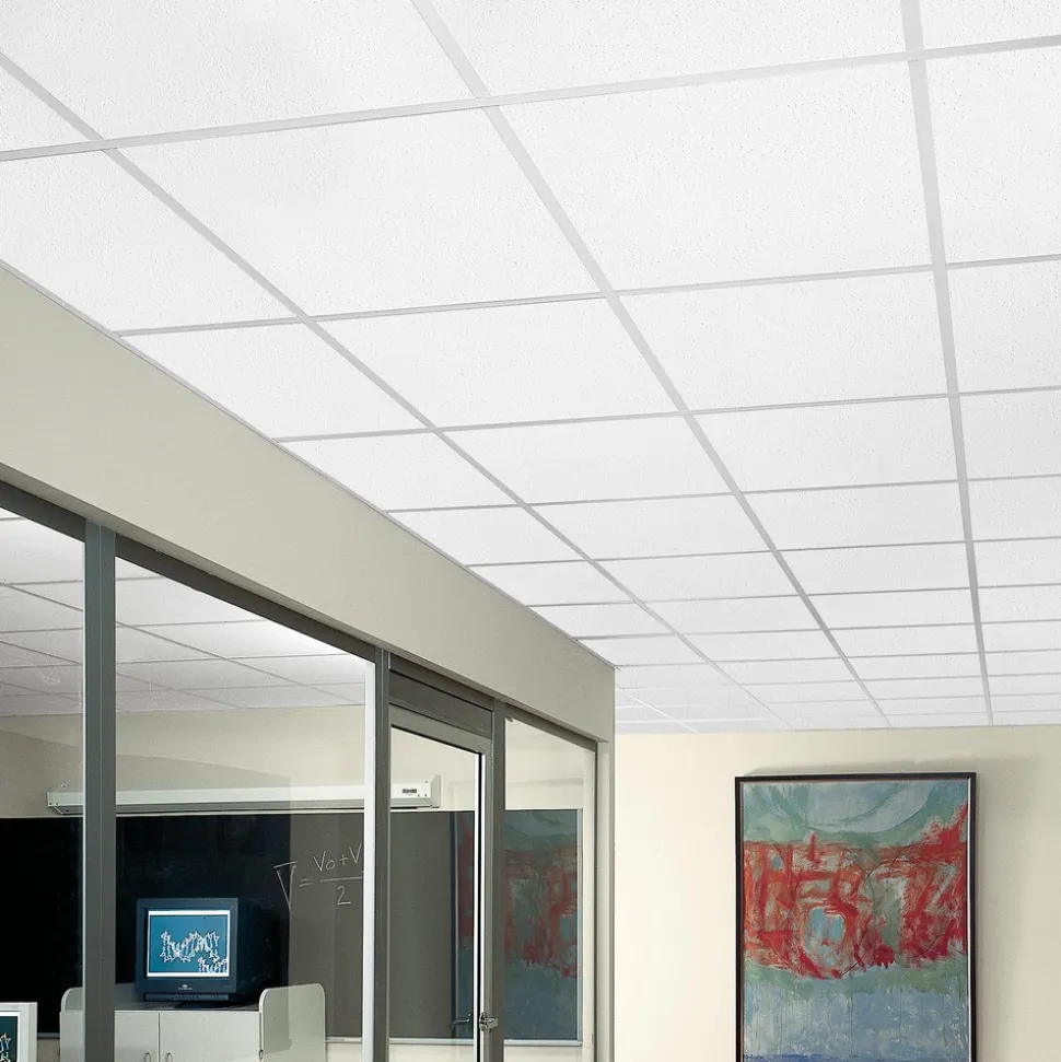 FINE FISSURED 24 in x 24 in Ceiling Tile, White