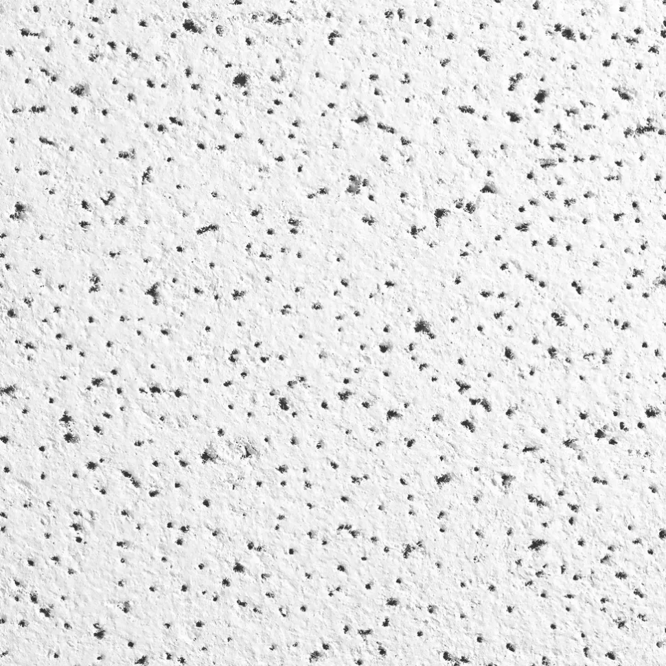 FINE FISSURED 24 in x 24 in Ceiling Tile, White