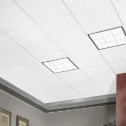 FISSURED (Fire Guard) 24 in x 24 in Ceiling Tile, White