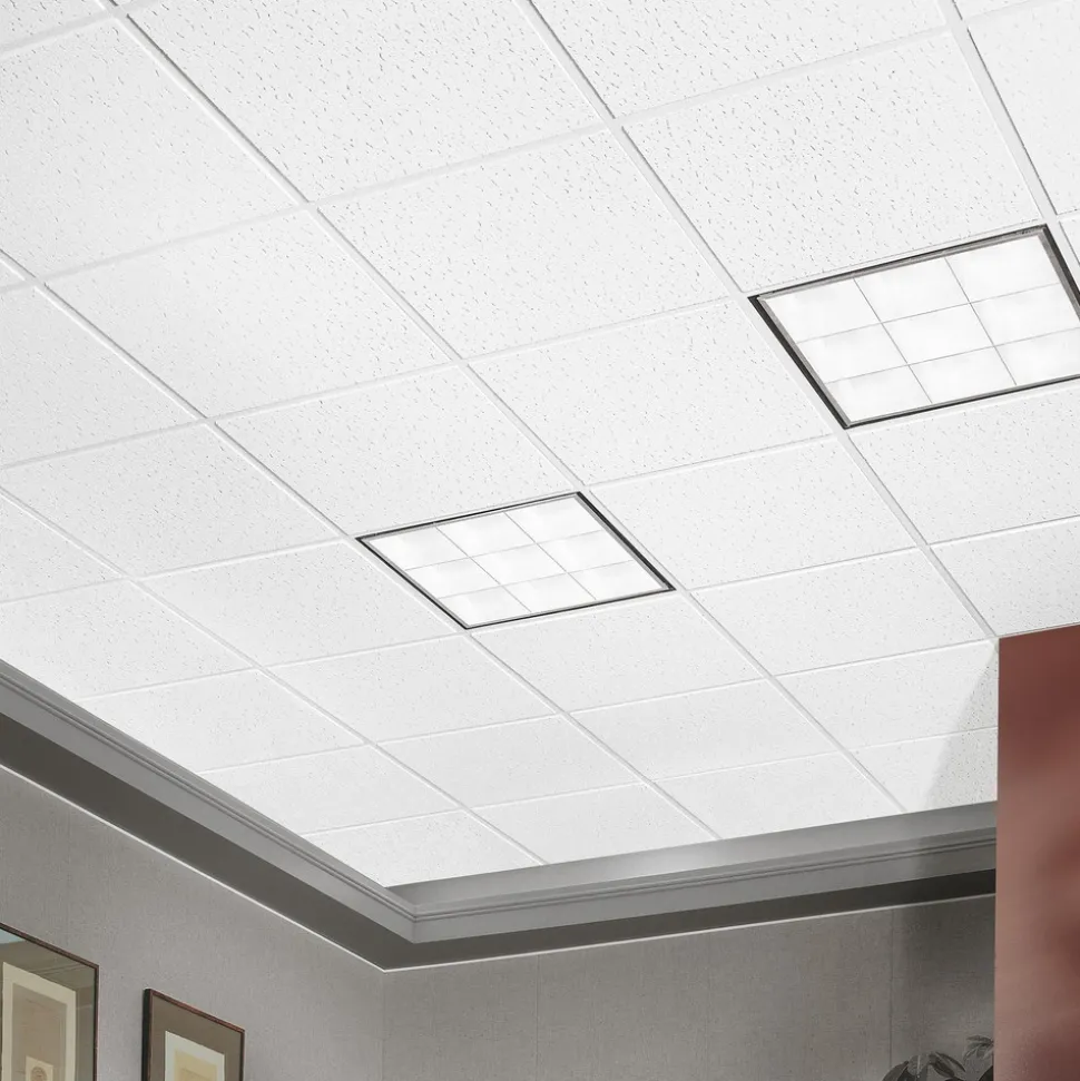 FISSURED (Fire Guard) 24 in x 24 in Ceiling Tile, White