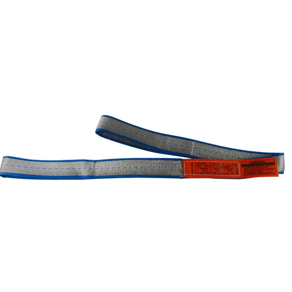 Flat Eye & Eye, Type 3 Web Sling: 4' Long, 1" Wide, 3200 lb Vertical Capacity, Polyester