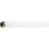Fluorescent Tubular Lamp: 60 Watts, T12, Recessed Double Contact Base