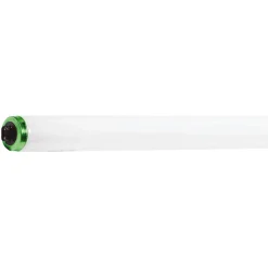 Fluorescent Tubular Lamp: 60 Watts, T12, Recessed Double Contact Base