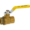 Full Port Manual Ball Valve: 1/2" Pipe
