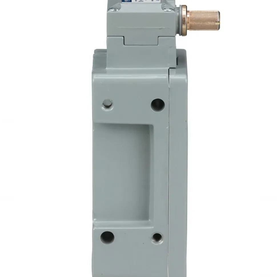 General Purpose Limit Switch: SPDT, NC, Rotary Head, Side