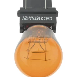 Incandescent Miniature & Specialty S8 Lamp