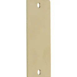 2 Inch Wide, Style 2, Brass Blank Metal Plate