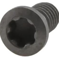 Insert Screw for Indexables: Torx®