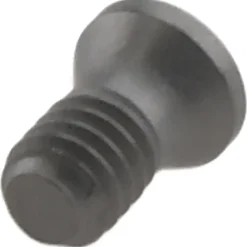 Insert Screw for Indexables: Torx®