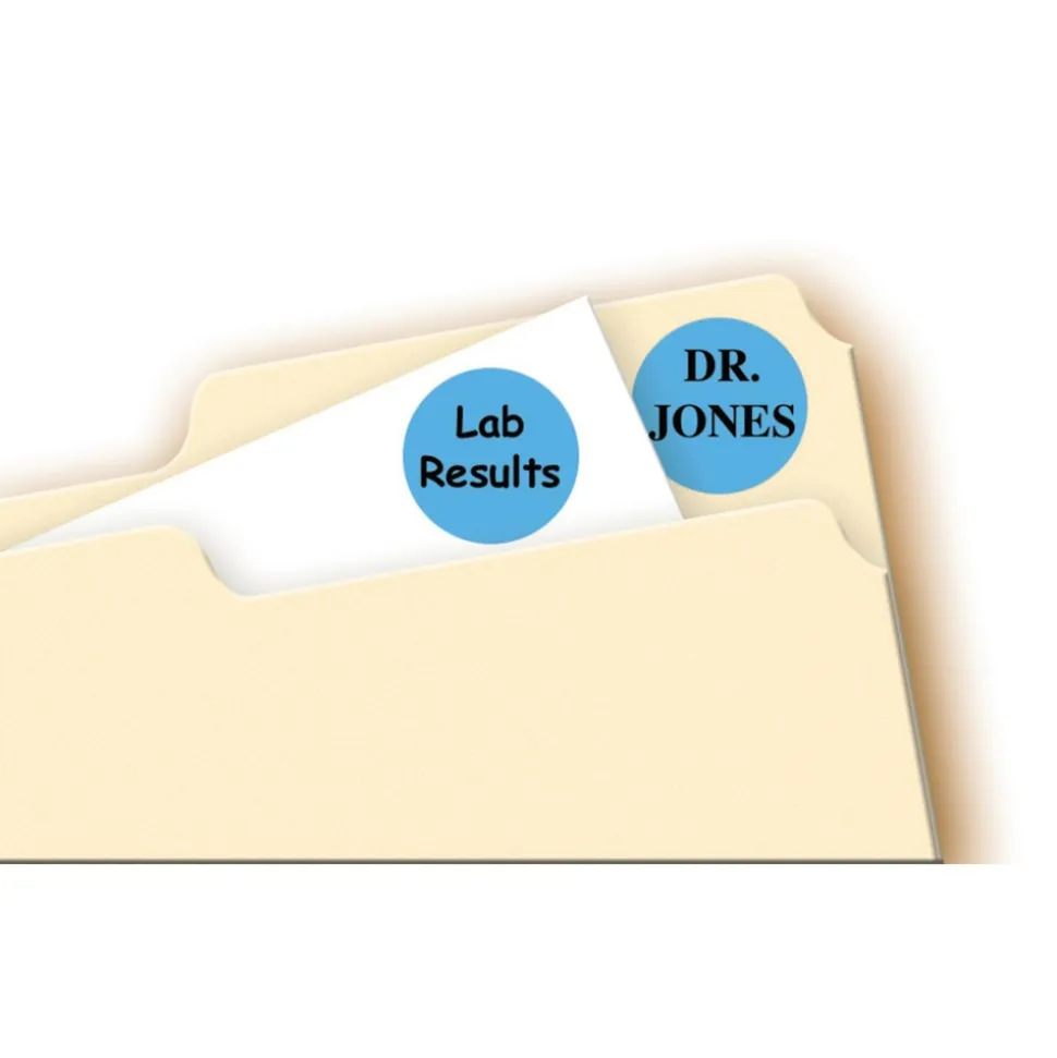 Label Maker Label: Light Blue, Paper, 3/4" OAL, 3/4" OAW, 1,008 per Roll