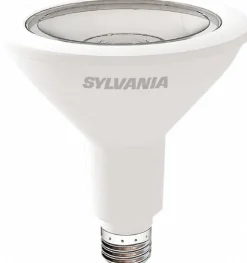 LED Lamp: Flood & Spot, PAR38, 13.000W, Medium Screw Base
