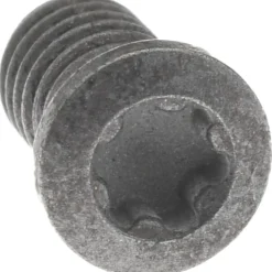 Lock Screw for Indexables: TP10 Torx® Plus, M3.5 Thread