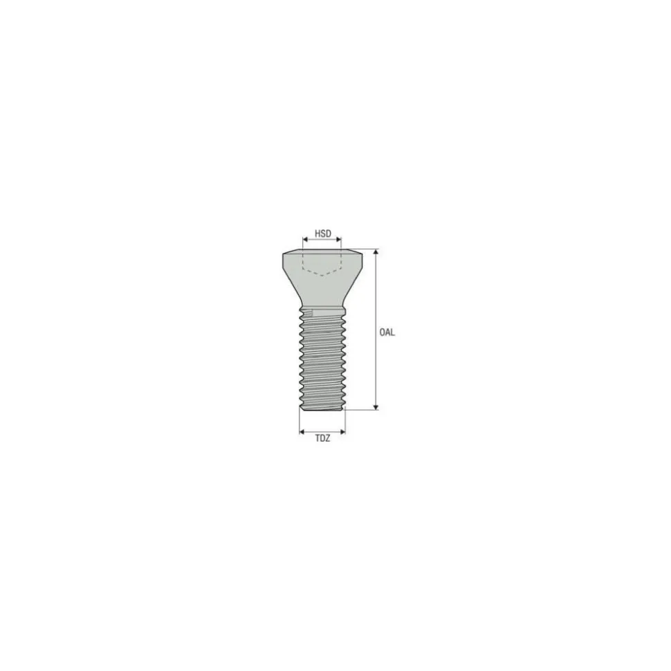 Lock Screw for Indexables: T15P Torx® Plus, M4 x 0.7 Thread