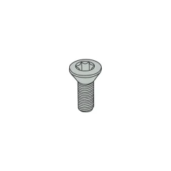 Lock Screw for Indexables: T7P Torx® Plus, M2.5 x 0.45 Thread
