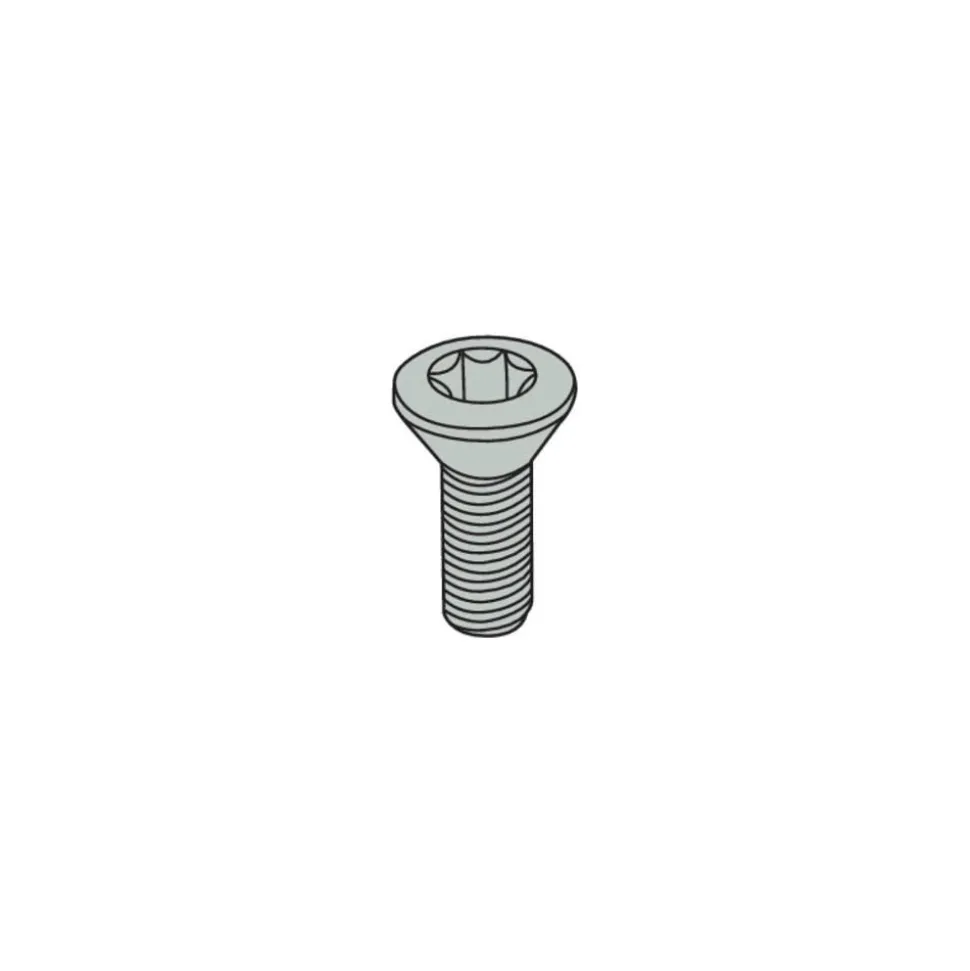 Lock Screw for Indexables: T7P Torx® Plus, M2.5 x 0.45 Thread