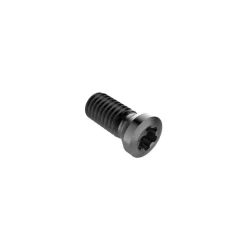 Lock Screw for Indexables: TP20 Torx® Plus, M5 Thread