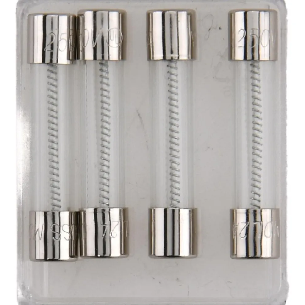 Mini Fuse: Time Delay, 2.0000 A