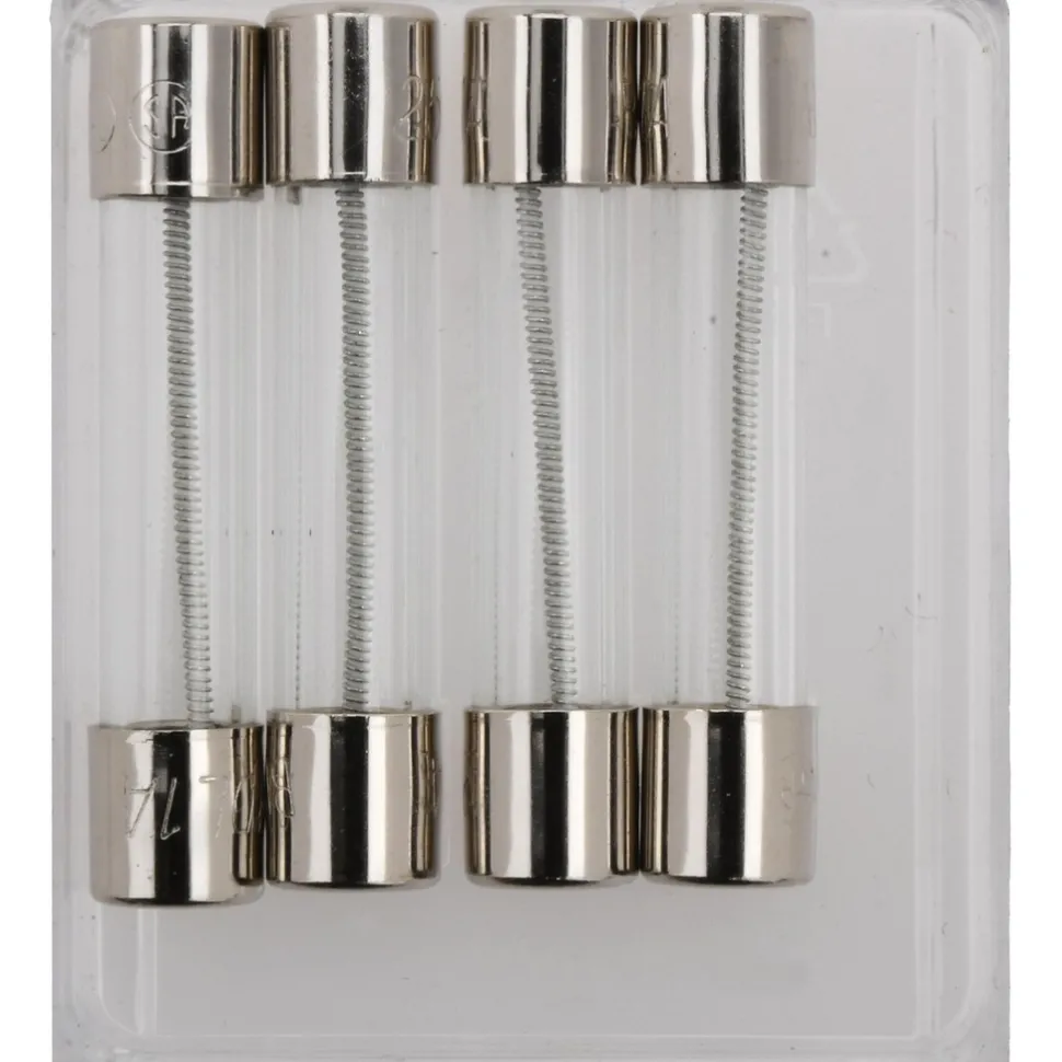 Mini Fuse: Time Delay, 1.0000 A