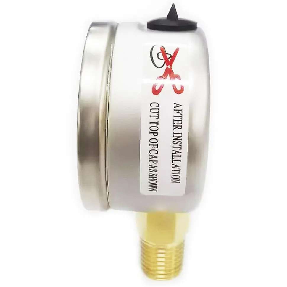 Pressure Gauge: 2" Dial, 60 psi, 1/4" Thread, NPT, Lower Mount