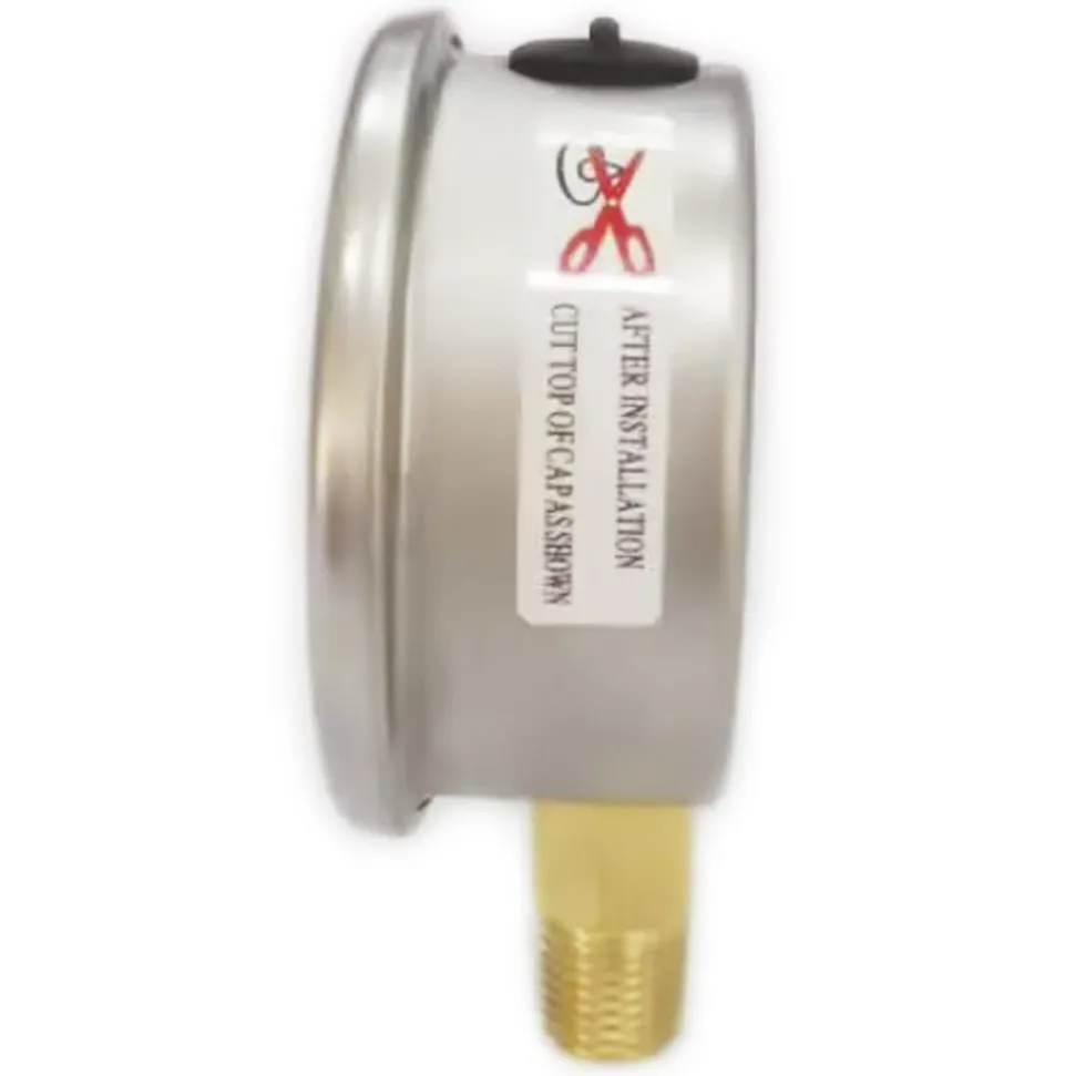 Pressure Gauge: 2-1/2" Dial, 600 psi, 1/4" Thread, NPT, Lower Mount