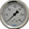Pressure Gauge: 2-1/2" Dial, 0 to 300 psi, 1/4" Thread, NPT, Center Back Mount
