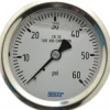 Pressure Gauge: 2-1/2" Dial, 0 to 60 psi, 1/4" Thread, NPT, Center Back Mount